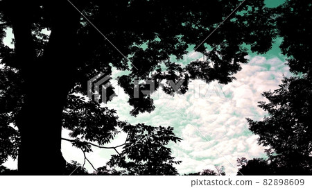 從首爾三嶽山華溪寺院子裡的大樹看秋天的天空 從首爾三嶽山華溪寺院子裡的大樹看秋天的天空 82898609