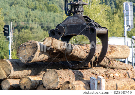 A crane with jaws loads trunks of tree into wagons A crane with jaws loads trunks of tree into wagons 82898749
