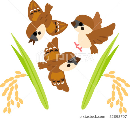 3 sparrows and ear of rice 82898797