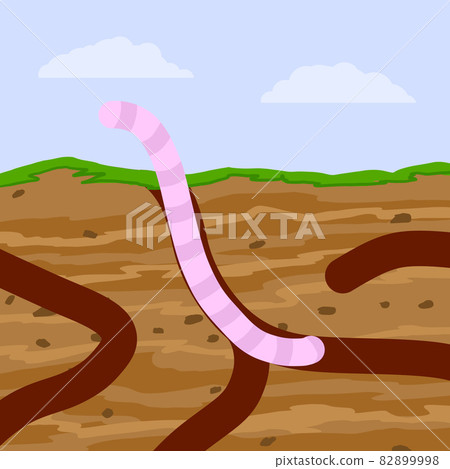 Worm in ground. Spring concept. Burrows and passages. Nature and insect. Soil in section. Flat cartoon illustration Worm in ground. Spring concept. Burrows and passages. Nature and insect. Soil in section. Flat cartoon illustration 82899998