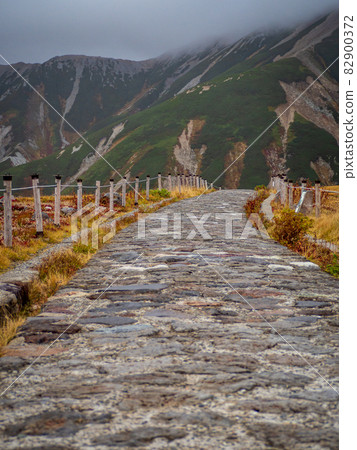 The mountain trail of Murododaira in Tateyama The mountain trail of Murododaira in Tateyama 82900372