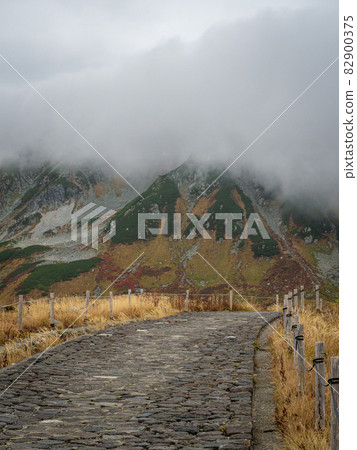 立山室堂平的山路 立山室堂平的山路 82900375