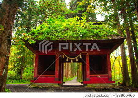 戶隱神社 / 奧社道路和瑞神門 戶隱神社 / 奧社道路和瑞神門 82900460