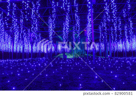 Ashika Flood Park Illumination Ashika Flood Park Illumination 82900581