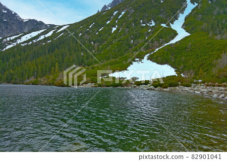 Cold clean water in a mountain lake. Cold clean water in a mountain lake. 82901041