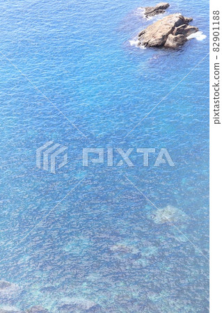 東伊豆海岸，海水，石頭沙灘，小金崎 82901188