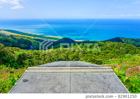 Overlooking the Sea of Japan from the paraglider takeoff point on Mt. Yahiko (Yahiko Village, Niigata Prefecture) 82901250
