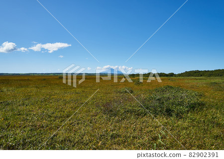 Rishiri Island from Sarobetsu Wilderness, Hokkaido 82902391