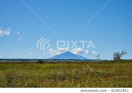 Hokkaido Sarobetsu Wilderness and Rishirifuji 82902461
