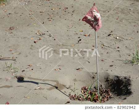 Mallet golf greens and pin flags on the riverbed that were hit by floods 82902942
