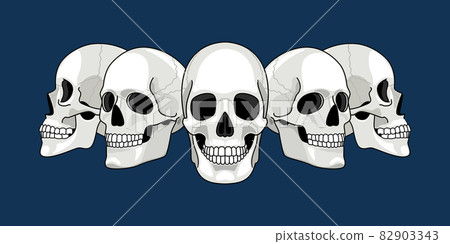 Skull head profile. Human skulls profiles picture, front and side scull bones, skeleton faces, different sides dead man heads cartoon drawing vector Skull head profile. Human skulls profiles picture, front and side scull bones, skeleton faces, different sides dead man heads cartoon drawing vector 82903343