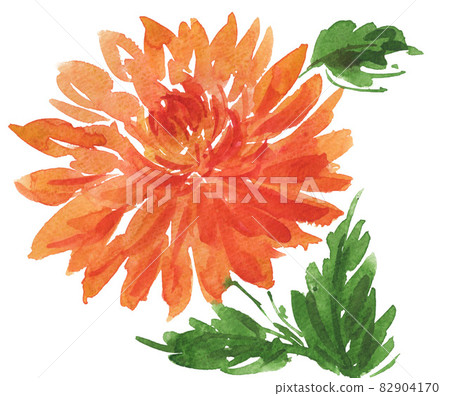 bloom, blossom, blossoms 82904170