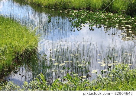 Landscape / Oze / Raised bog and pond 82904643