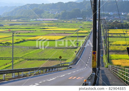Rural scenery from Suidozaka << Aikawa Town >> 82904885