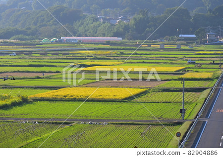 多彩的三之輪耕地風光“相川町” 82904886