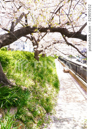 大堀川花道公園 82905032