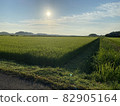 Country horizon 82905164