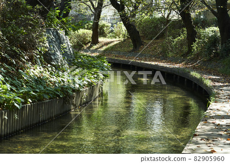 Branch area water 82905960