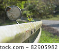 苔蘚護欄 82905982