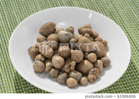 [Autumn ingredients] Propagule 82906806