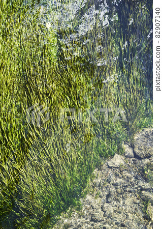 高度透明的水流過的渡槽 高度透明的水流過的渡槽 82907140