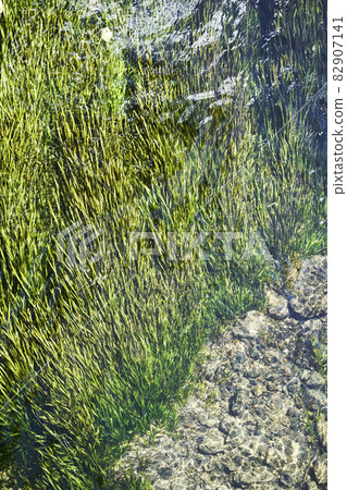 高度透明的水流過的渡槽 82907141