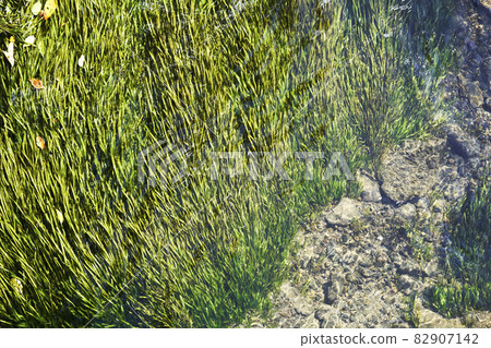 高度透明的水流過的渡槽 82907142