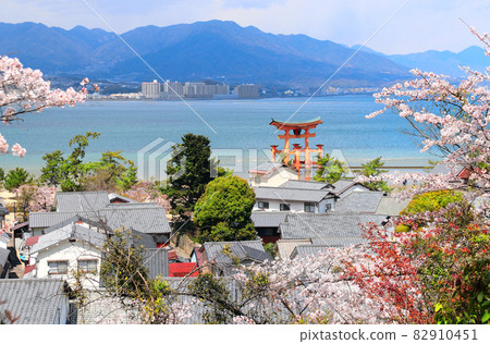 Floating Torii gate, Itsukushima Shrine, Miyajima island, Japan 82910451