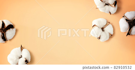 White cotton flowers White cotton flowers 82910532