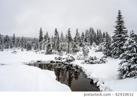 Winter in Jizera Mountains. Snowy landscape with trees and small creek. Czech Republic 82910632