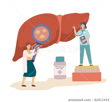 Doctor with magnifier and nurse with stethoscope examining liver, flat vector illustration isolated on white background. Doctor with magnifier and nurse with stethoscope examining liver, flat vector illustration isolated on white background. 82911433
