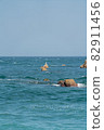海灘 夏天 視圖 82911456