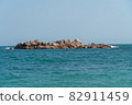 海灘 夏天 視圖 82911459