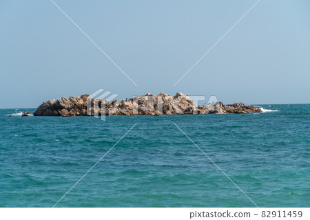 海灘 夏天 視圖 82911459