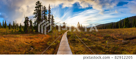 Hiking trail outdoors in Canadian nature. Hiking trail outdoors in Canadian nature. 82912205