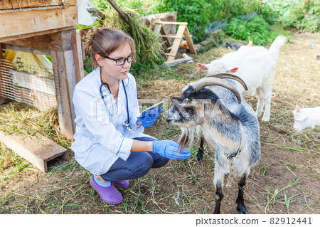 Young veterinarian woman with tablet computer examining goat on ranch background. Vet doctor check up goat in natural eco farm. Animal care and ecological livestock farming concept. Young veterinarian woman with tablet computer examining goat on ranch background. Vet doctor check up goat in natural eco farm. Animal care and ecological livestock farming concept. 82912441