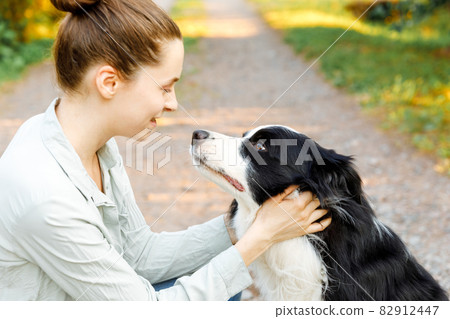Smiling young attractive woman playing with cute puppy dog border collie on summer outdoor background. Girl holding embracing hugging dog friend. Pet care and animals concept. 82912447