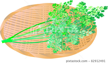Pakuchi (coriander) colander Pakuchi (coriander) colander 82912491