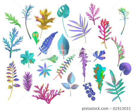 Set Exotic Colorful leaves on white background. Foliage, Botanical collection. Monstera, Oak, rowan, palm and other leaves. Realistic vector icons for your design. 82913031