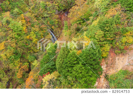 (Fukushima Prefecture) Bandai-Azuma Skyline: Autumn leaves in the valley looking through Fudosawa Bridge 82914753