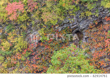(Fukushima Prefecture) Bandai-Azuma Skyline: Autumn leaves in the valley looking through Fudosawa Bridge 82914761