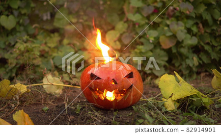 Halloween pumpkin burns with real fire. Jack lantern lies on the ground at the holiday. 82914901