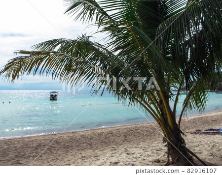 Thailand Koh Tao coast Thailand Koh Tao coast 82916107