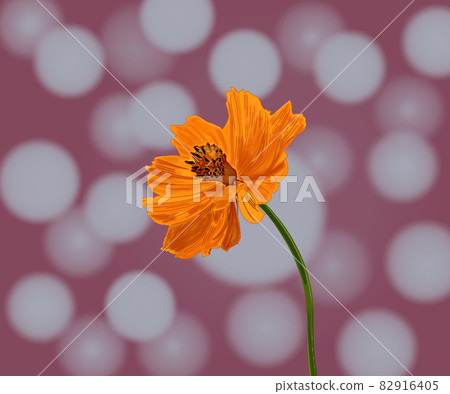 Beautiful flower Flower 82916405