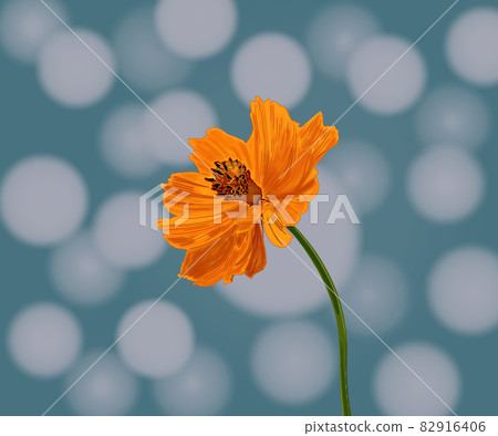 Beautiful flower Flower Beautiful flower Flower 82916406