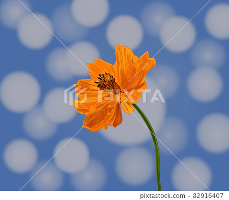 美麗的花花 美麗的花花 82916407