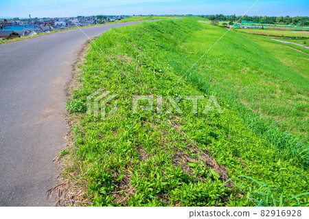 Near Akigase Bridge, Arakawa Riverbed, Athletic Park, Fujimi City Near Akigase Bridge, Arakawa Riverbed, Athletic Park, Fujimi City 82916928