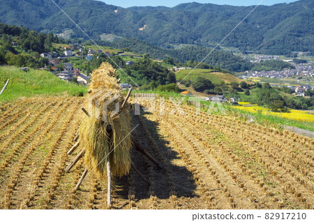 秋收時水稻梯田美景 82917210