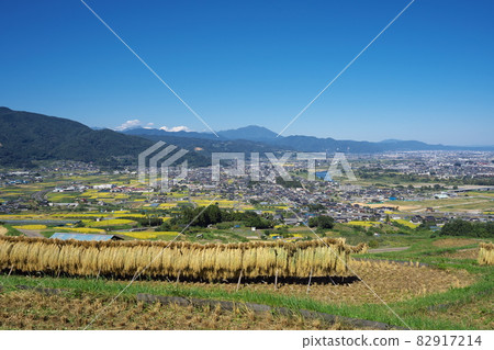 秋收時水稻梯田美景 82917214