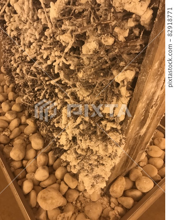 Terme Milano 岩鹽桑拿浴室的牆壁也是用鹽塊製成的。 Terme Milano 岩鹽桑拿浴室的牆壁也是用鹽塊製成的。 82918771